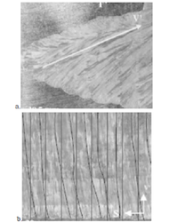 Układ tekstury dendrytycznej spoiny austenitycznej