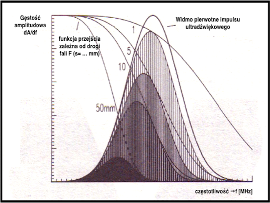 Mechanizm tłumienia charakterystyki widmowej głowicy dla różnych dróg przejścia impulsu ultradźwiękowego dla gruboziarnistej tekstury spoiny austenitycznej